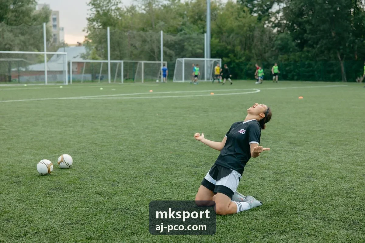 mksport 战术板解析画面封面